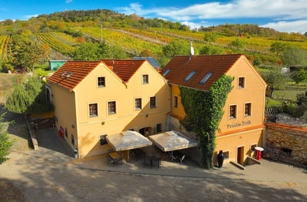 Prodej nemovitosti pro ubytování 334 m², Mikulov