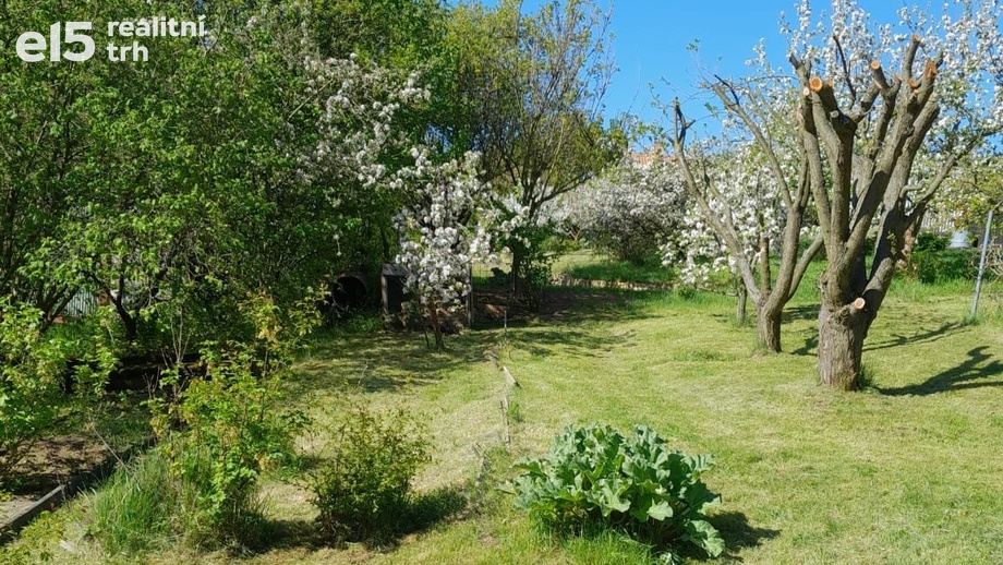 Pronájem pozemky - zahrady, 376 m² - Běloky