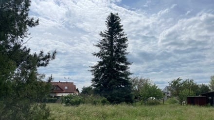 Prodej rodinného domu 132 m², Pardubice - Staré Čívice