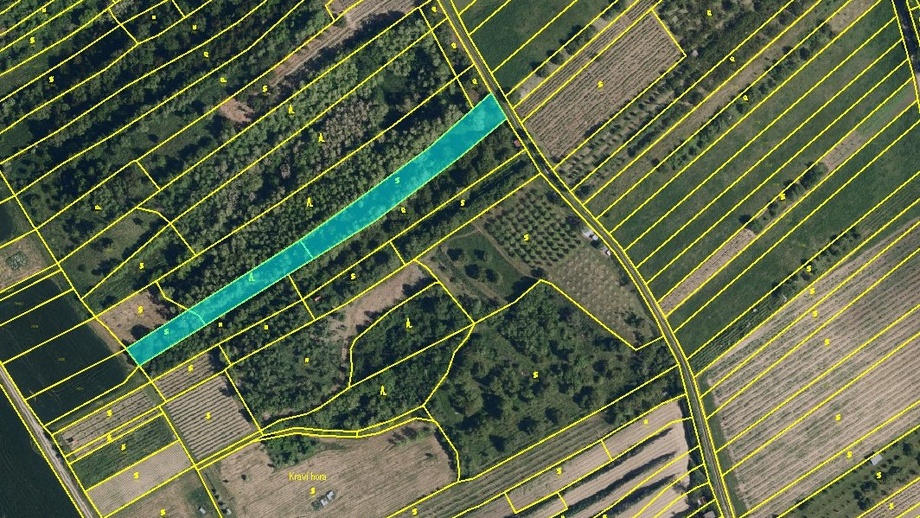 Prodej sady a vinice, 3 259 m² - Velké Němčice