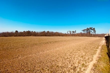 Prodej zahrady 7 000 m², Dobšice