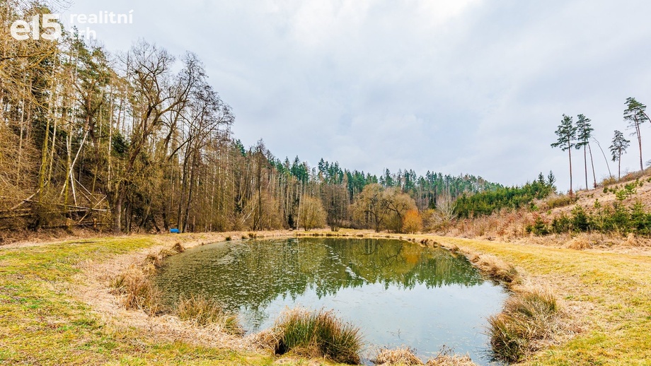 Prodej rybník, 11 304 m² - Mladoňovice