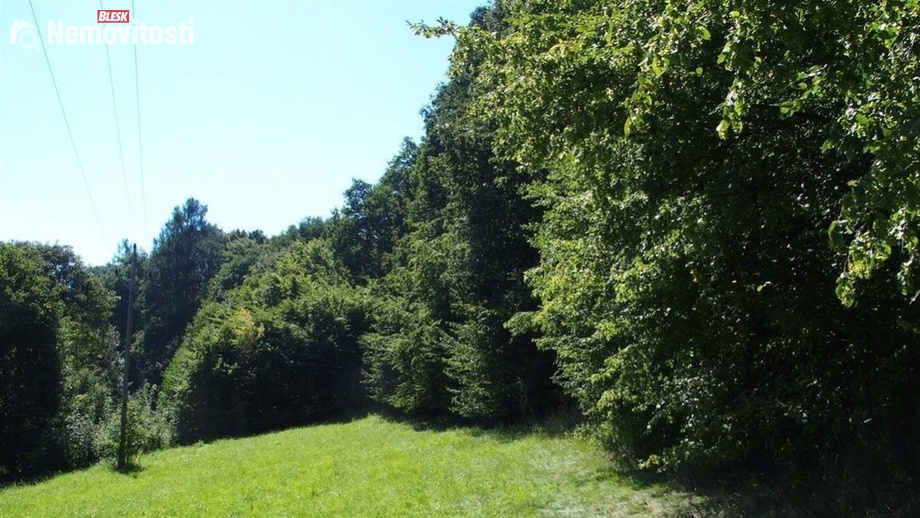 Prodej lesa 1 997 m², Dívčí Hrad