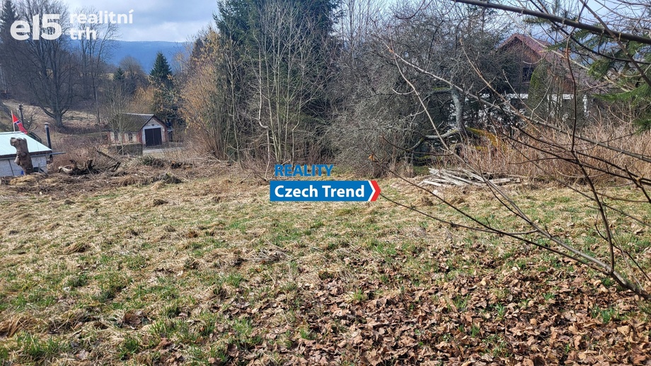 Prodej stavebního pozemku 1 218 m², Červená Voda - Šanov