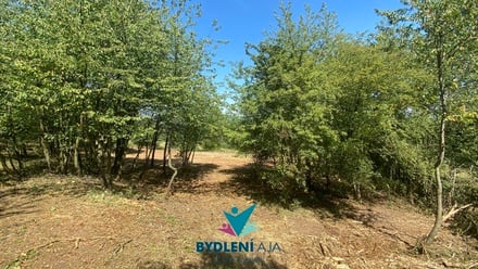 Prodej stavebního pozemku 1 674 m², Chabařovice - Roudníky