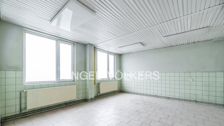 Pronájem komerční nemovitosti 3 100 m², Panenské Břežany