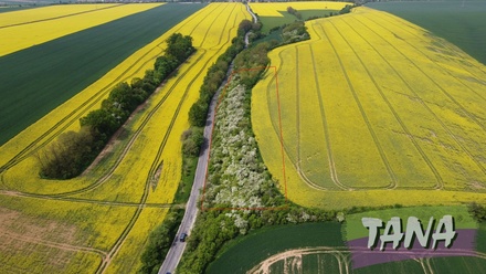 Prodej sadu / vinice 34 166 m², Chotětov