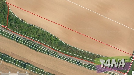 Prodej sadu / vinice 34 166 m², Chotětov