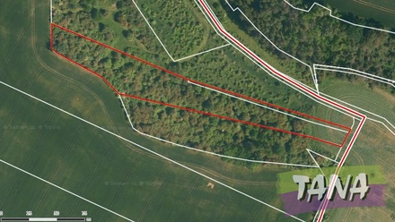 Prodej sadu / vinice 34 166 m², Chotětov