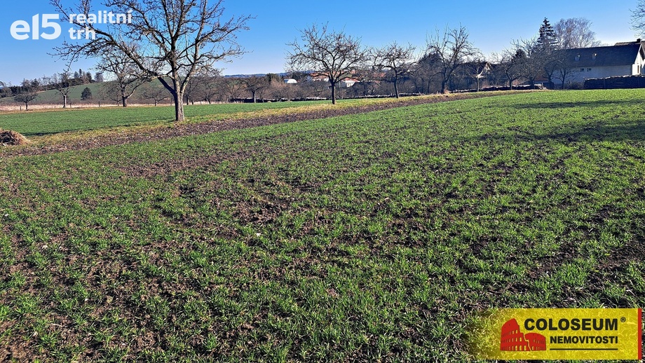 Prodej zemědělská půda, 4 979 m² - Štěchov
