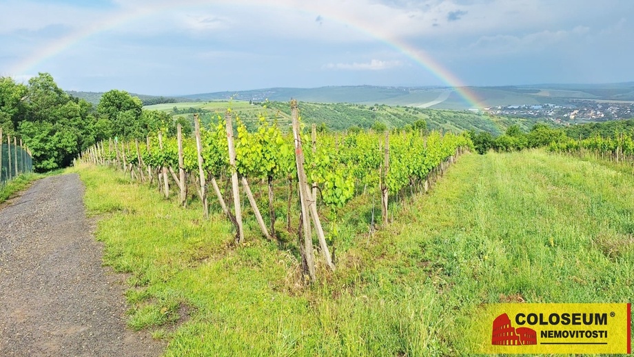 Prodej sady a vinice, 34 673 m² - Němčičky