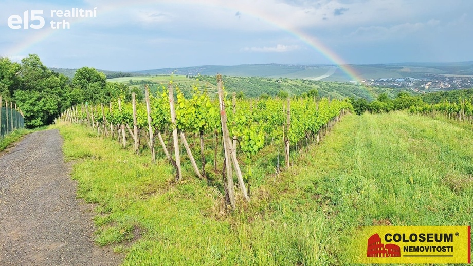 Prodej sady a vinice, 34 673 m² - Němčičky