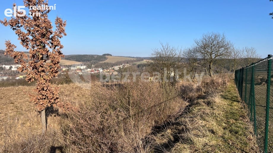 Prodej pozemky pro bydlení, 1 961 m² - Plasy