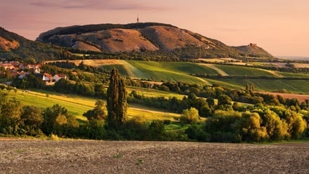 Prodej rodinného domu 134 m², Pasohlávky