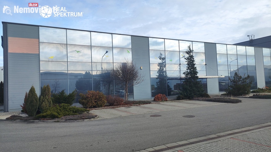 Pronájem výrobního prostoru 7 074 m², Brno - Černovice