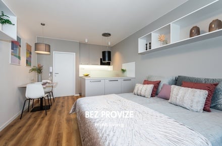 Pronájem bytu 1+kk 34 m², Brno - Bohunice