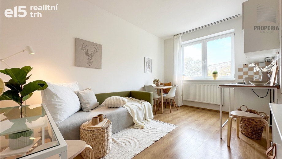 Pronájem byty 1+kk, 21 m² - Brno - Židenice