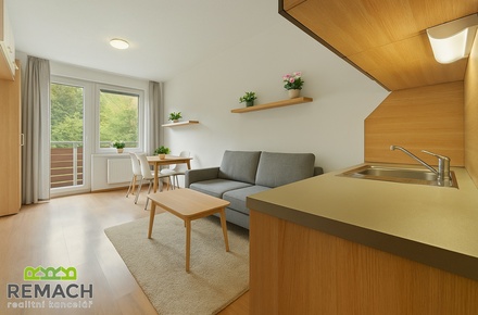 Prodej bytu 1+kk 25 m², Všemina