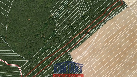 Prodej lesa 14 637 m², Štichovice