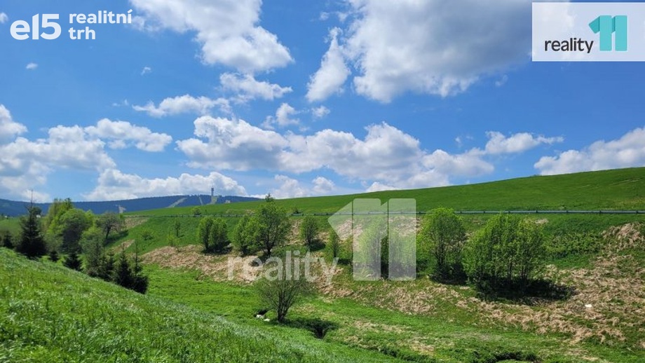 Prodej pozemky pro bydlení, 2 335 m² - Loučná pod Klínovcem - Háj