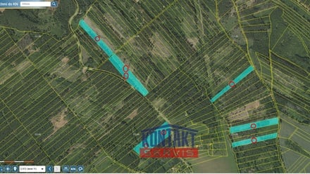 Prodej lesa 70 821 m², Jevíčko