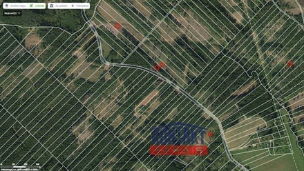 Prodej lesa 70 821 m², Jevíčko