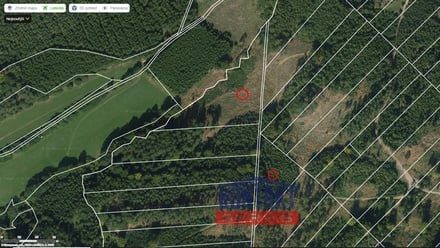 Prodej lesa 70 821 m², Jevíčko