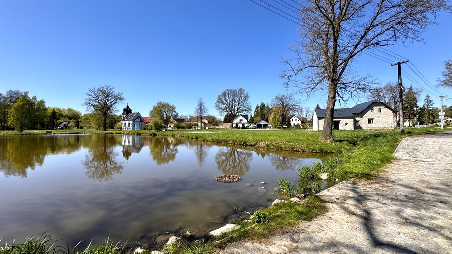 Prodej rodinného domu 280 m², Bor - Doly