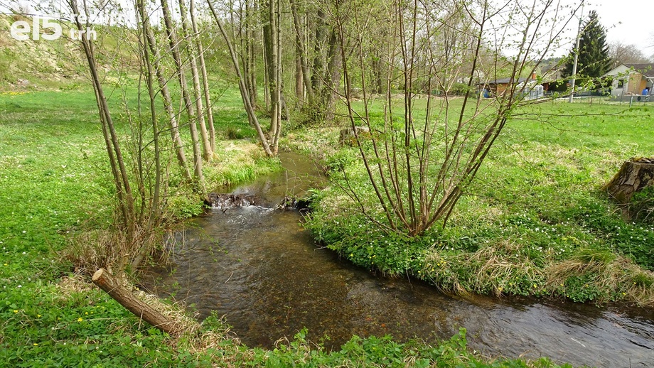 Prodej pozemky - trvalý travní porost, 5 086 m² - Kvasiny