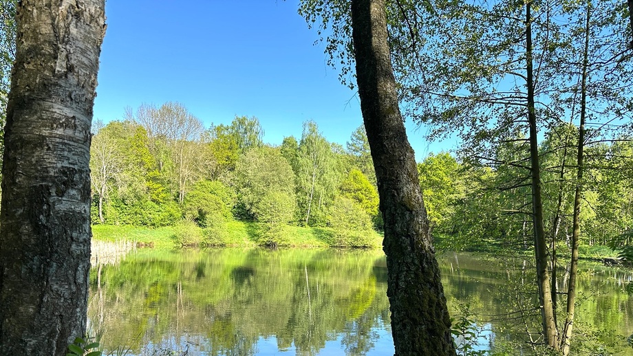 Prodej chaty 74 m², Libina