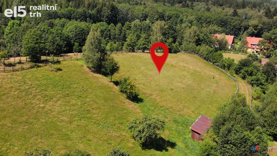 Prodej pozemky pro bydlení, 2 456 m² - Olešnice v Orlických horách