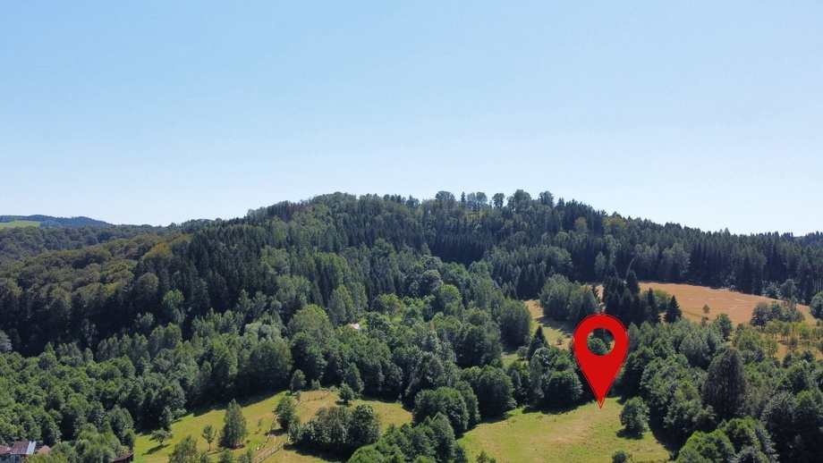Prodej stavebního pozemku 3 446 m², Olešnice v Orlických horách
