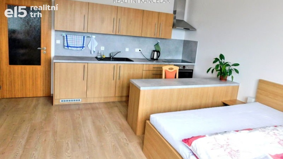 Pronájem byty 1+kk, 29 m² - Plzeň - Jižní Předměstí