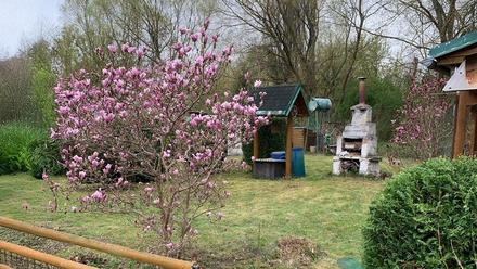 Prodej zahrady 387 m², Pardubice - Nové Jesenčany