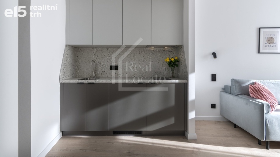 Pronájem byty 1+kk, 20 m² - Praha - Žižkov