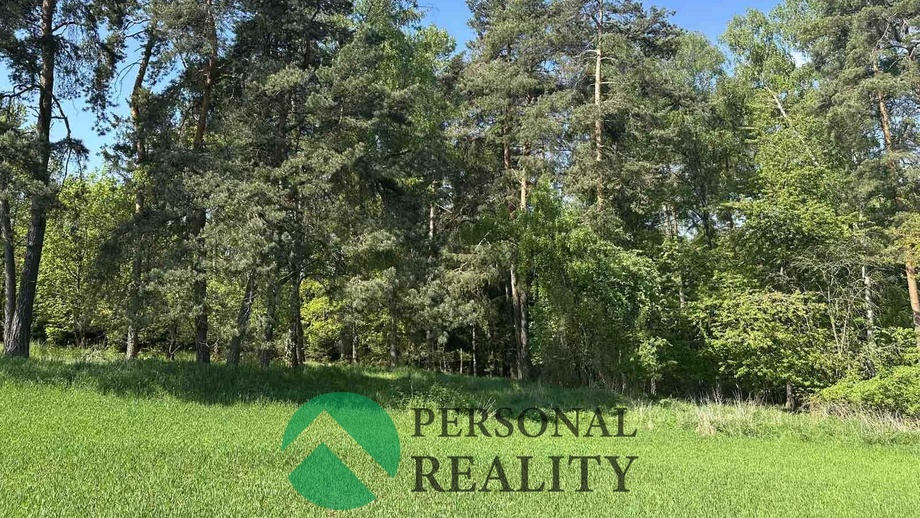 Prodej lesy, 3 934 m² - Krakov