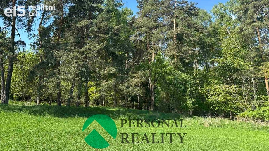 Prodej lesa 3 934 m², Krakov