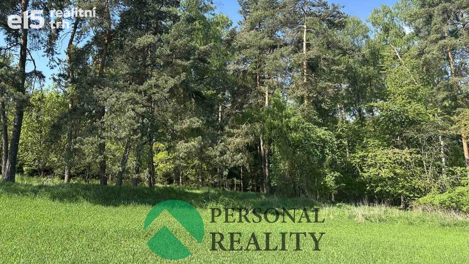 Prodej lesy, 3 934 m² - Krakov