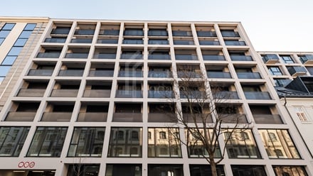 Developerský projekt, Praha - Karlín