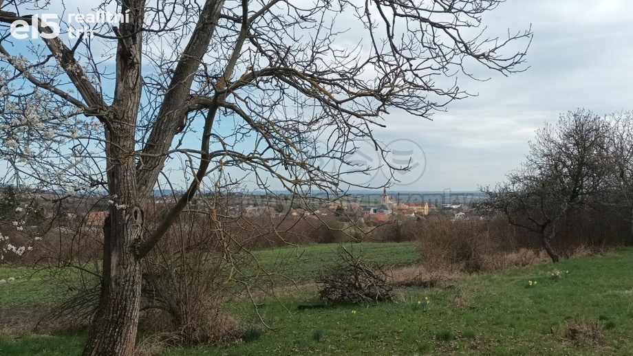 Prodej zemědělská půda, 912 m² - Třebenice