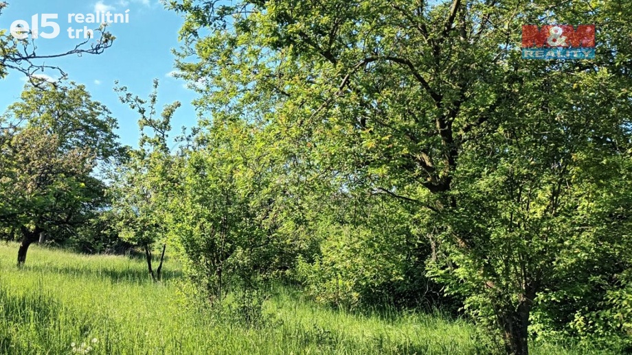 Prodej zemědělská půda, 912 m² - Třebenice