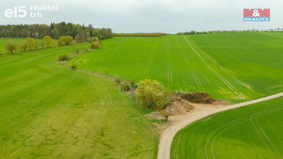 Prodej pozemky - trvalý travní porost, 730 m² - Olešnice
