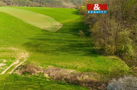 Prodej pole 4 100 m², Bílá Lhota