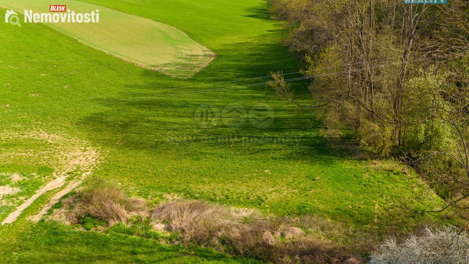 Prodej pole 4 100 m², Bílá Lhota