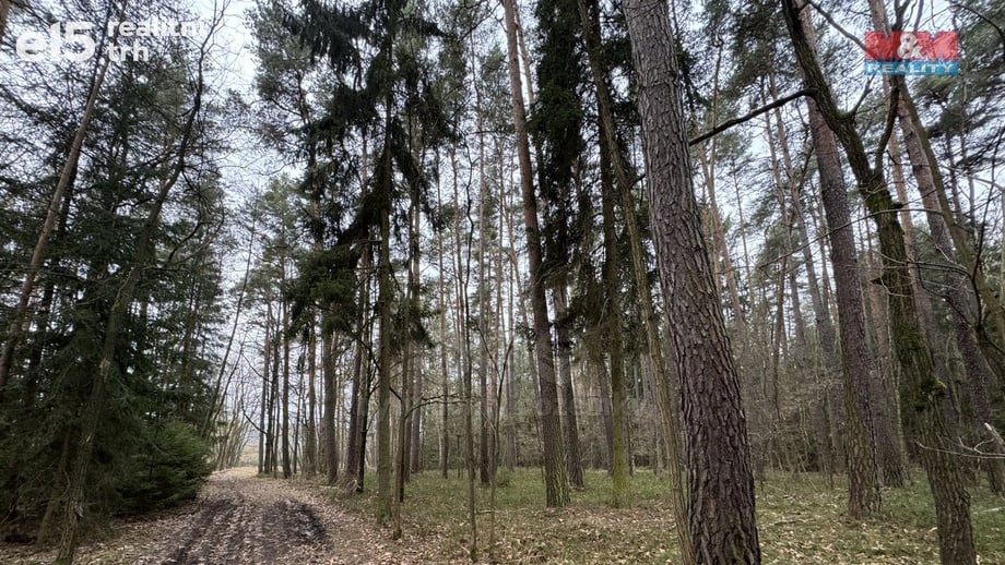 Prodej lesy, 6 794 m² - Doňov