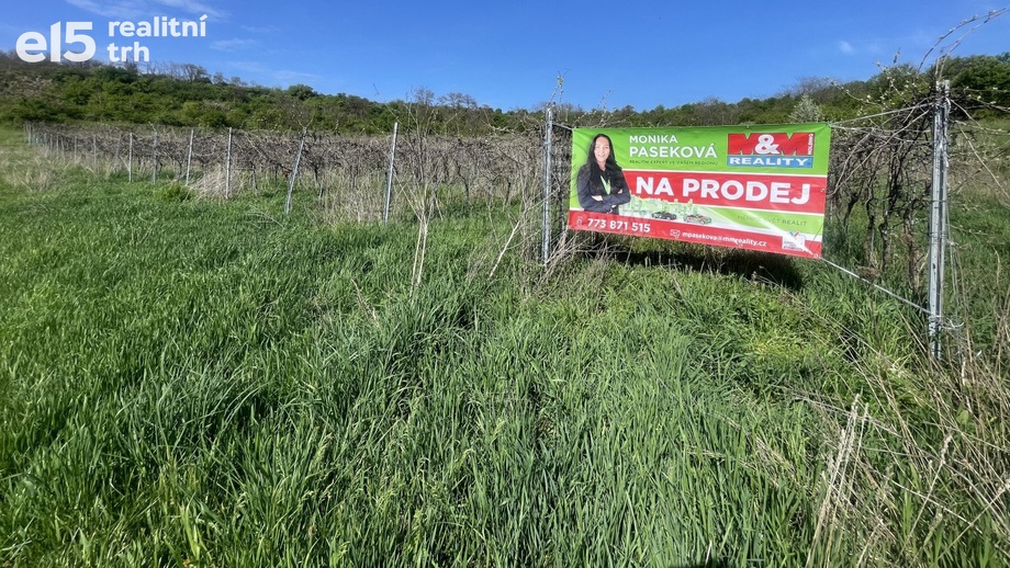 Prodej zemědělská půda, 9 215 m² - Sedlec