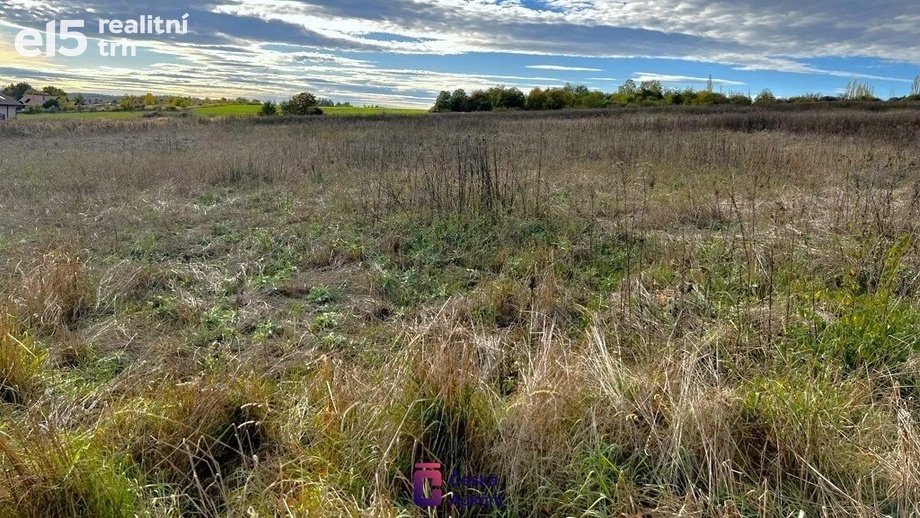 Prodej pozemky - trvalý travní porost, 4 429 m² - Libeř