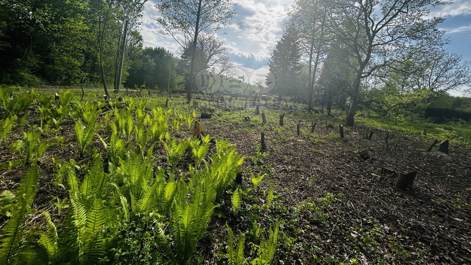 Prodej stavebního pozemku 830 m², Orlová