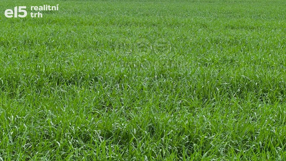Prodej zemědělská půda, 2 013 m² - Dívčice