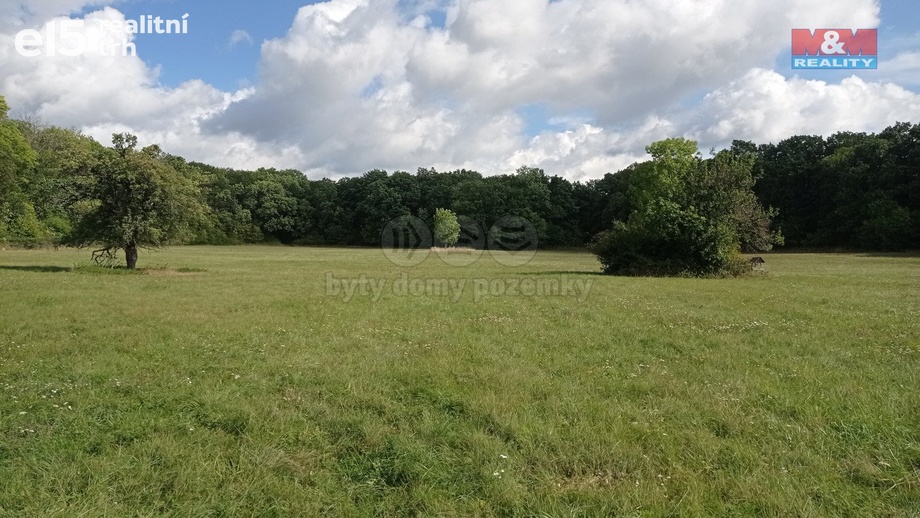 Prodej pozemky - trvalý travní porost, 16 692 m² - Jenčice